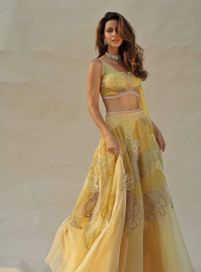 The SPRING PEONY SET