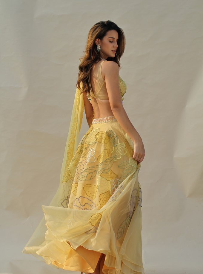 The SPRING PEONY SET