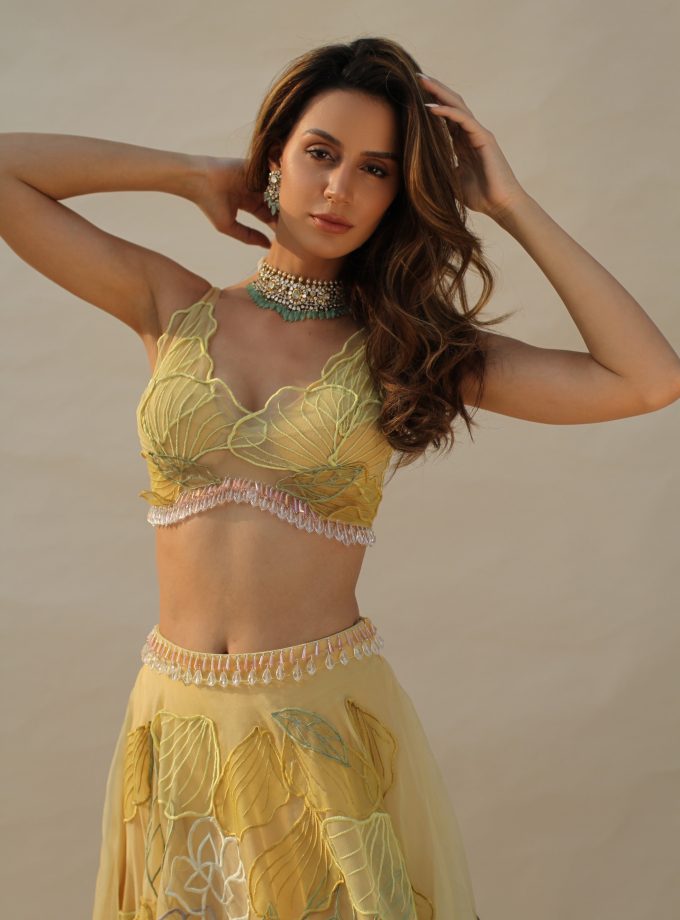 The SPRING PEONY SET