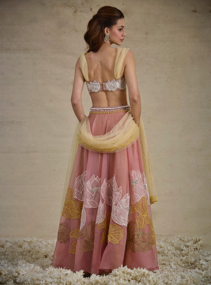 The Aquarelle Lotus Set