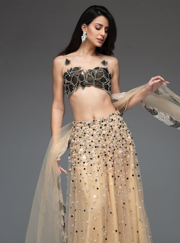 The Midnight Ivy Set