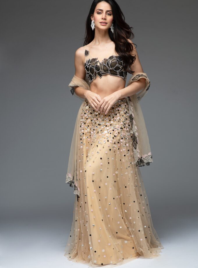 The Midnight Ivy Set