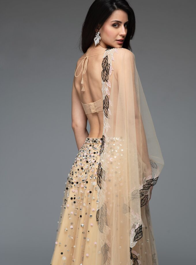 The Midnight Ivy Set