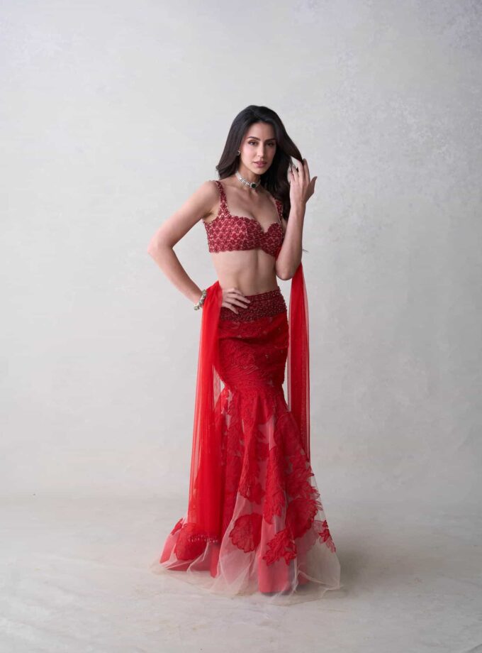 The Red Zinnia Set