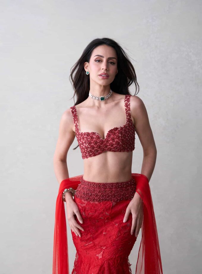 The Red Zinnia Set
