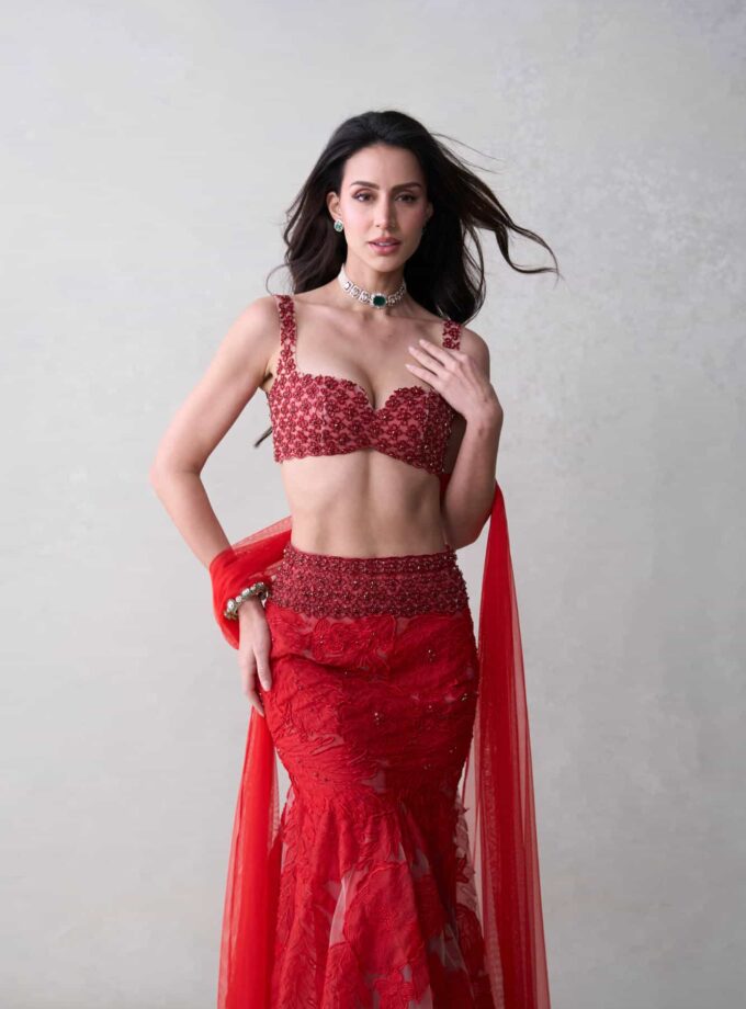 The Red Zinnia Set