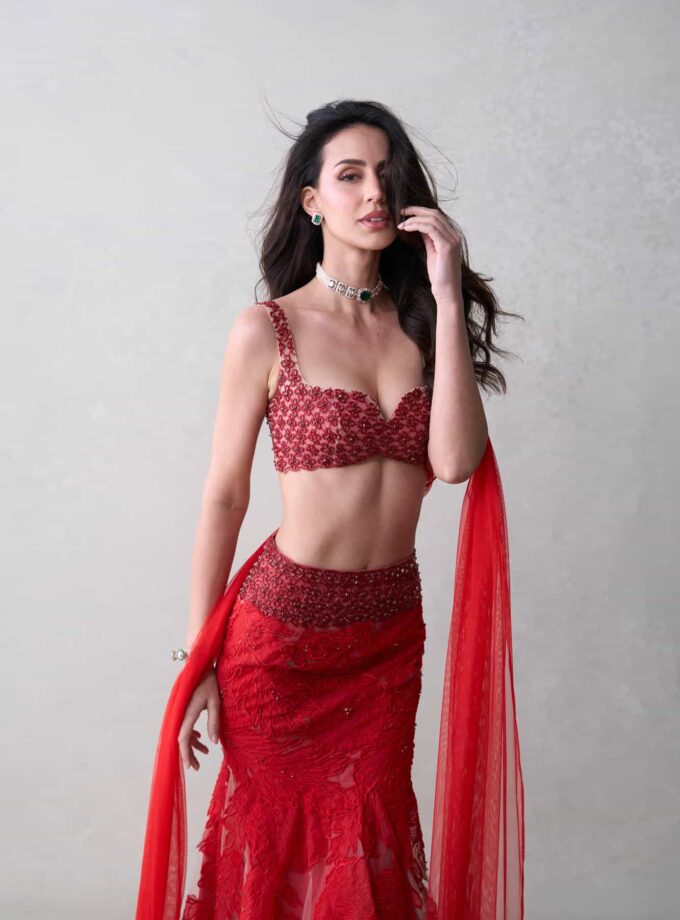 The Red Zinnia Set