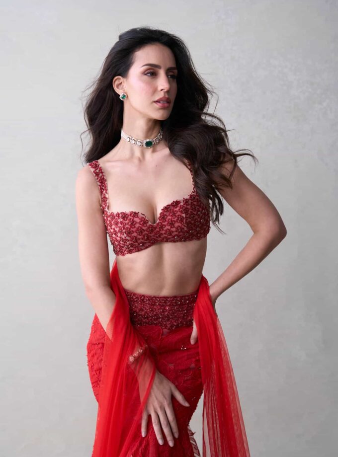 The Red Zinnia Set