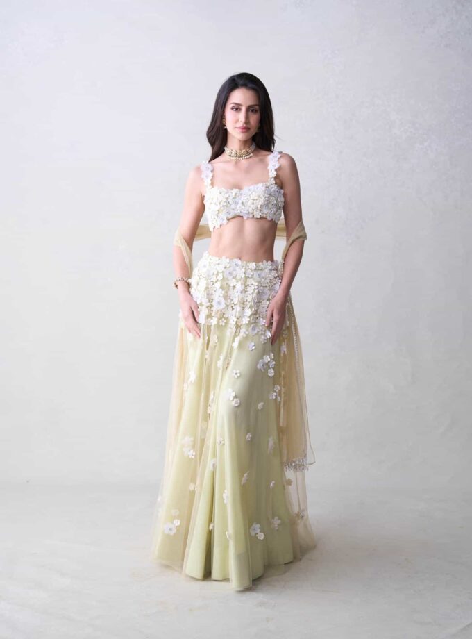 The Daisy Set