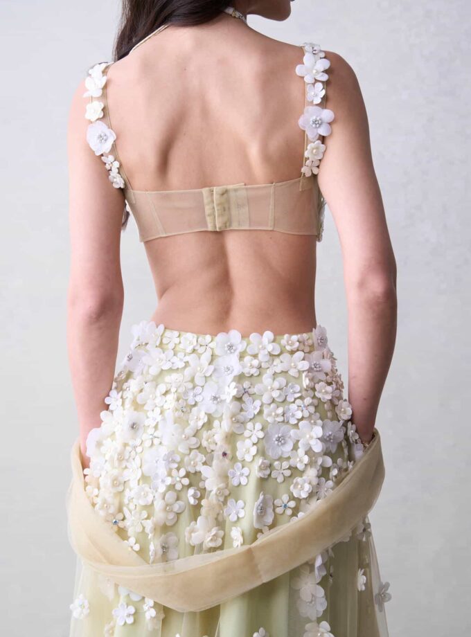 The Daisy Set