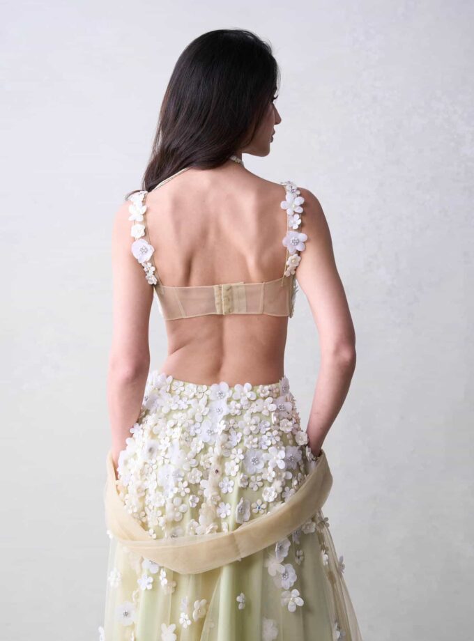 The Daisy Set