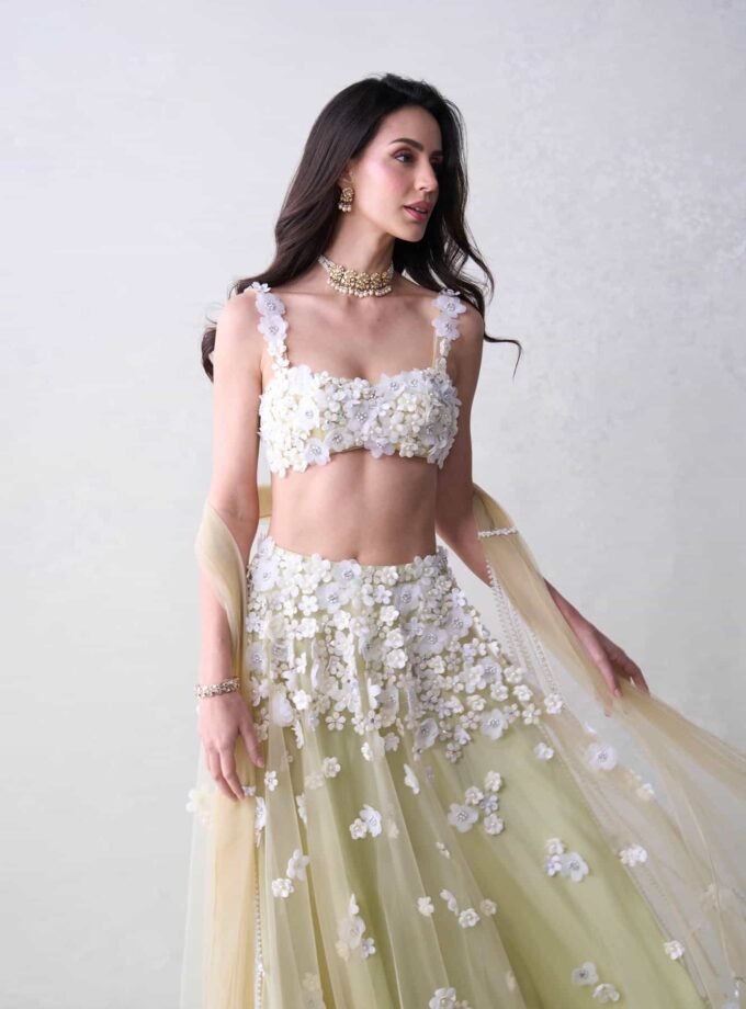 The Daisy Set