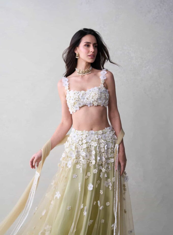 The Daisy Set