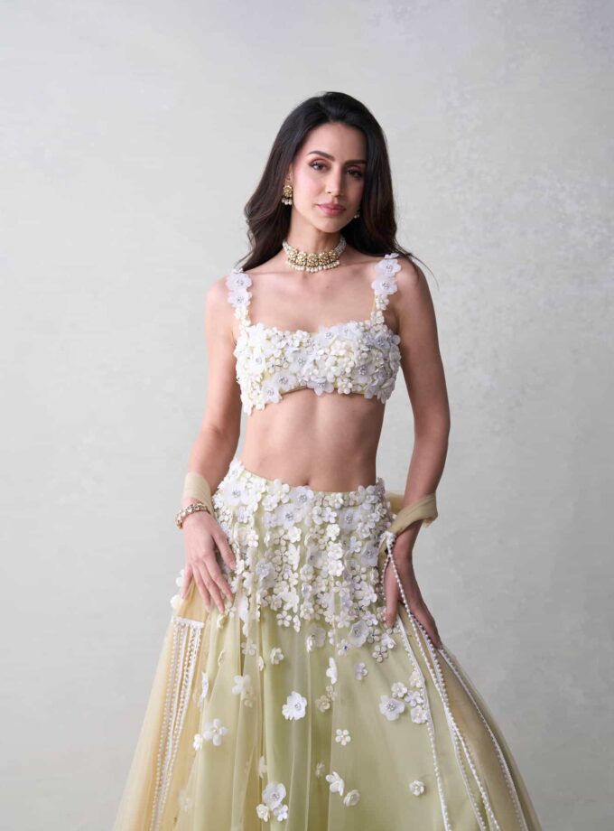 The Daisy Set